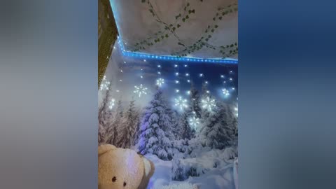 _summer_ free recording from 2024-12-02 23:05:00