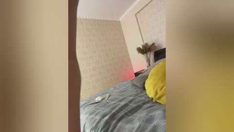 _vaka_ free recording from 2024-12-02 08:47:00