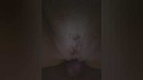 axel_20x free recording from 2024-12-02 21:12:00