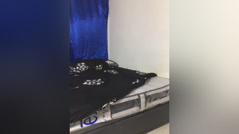 dante_cloe free recording from 2026-04-14 02:03:00