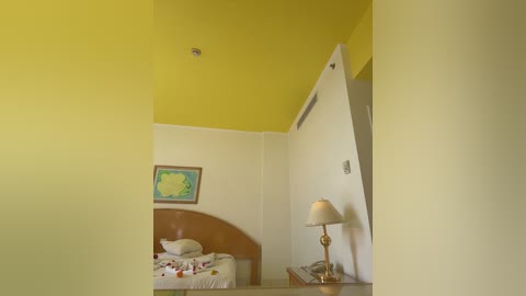 carolina_dimonpro free recording from 2024-12-03 11:13:00