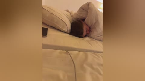 carolina_dimonpro free recording from 2024-12-03 16:17:00