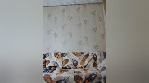 evasweetapple free recording from 2024-12-03 04:27:00