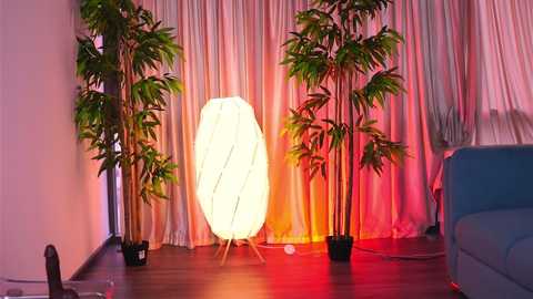 misskiarra free recording from 2026-04-21 00:14:00