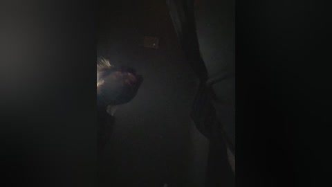 sweetcherry96 free recording from 2026-04-03 02:52:00