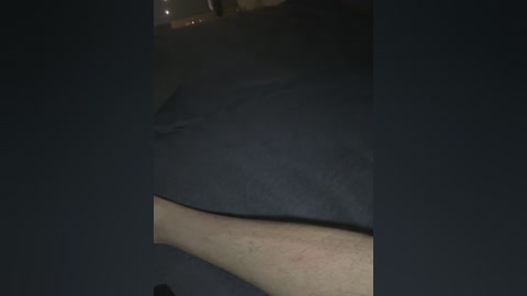 zaikii free recording from 2026-04-03 02:52:00