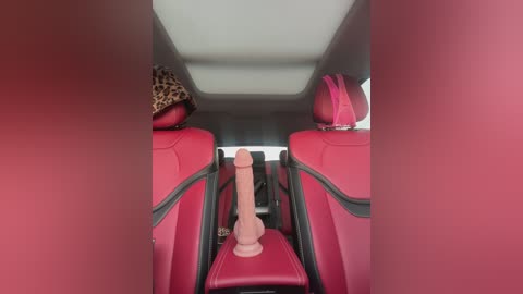 _annamaria_ free recording from 2024-12-05 12:33:00