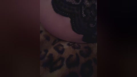 fierynight77 free recording from 2024-12-05 01:20:00