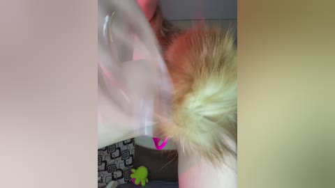 lolly15molly free recording from 2026-04-26 00:11:00