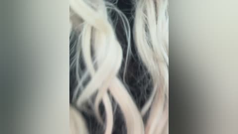 tannya free recording from 2026-04-23 00:00:00