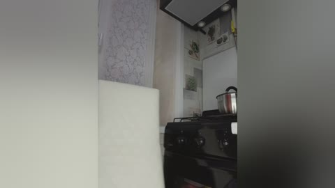 anesteishen free recording from 2024-12-06 18:34:00