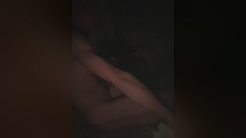 artylaa free recording from 2024-12-06 23:09:00