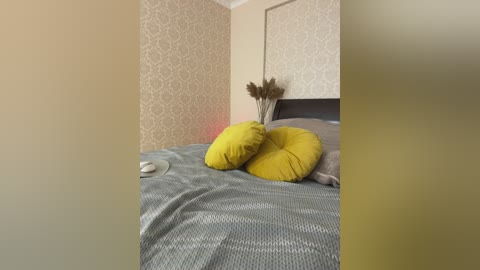 _vaka_ free recording from 2024-12-07 07:16:00