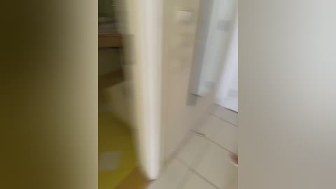 carolina_dimonpro free recording from 2024-12-07 09:07:00