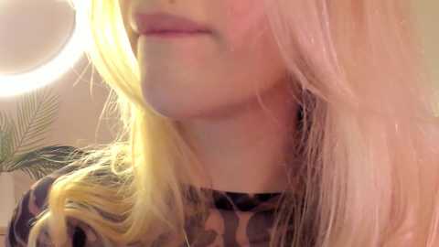 your_alice free recording from 2024-12-07 20:40:00