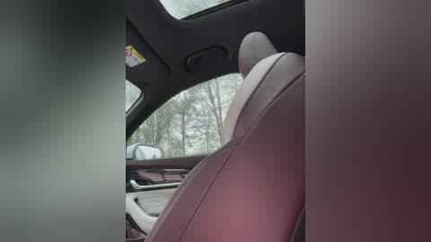 _nirvana_ free recording from 2025-05-28 18:21:00