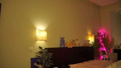 evaxhorny free recording from 2025-05-28 18:32:00