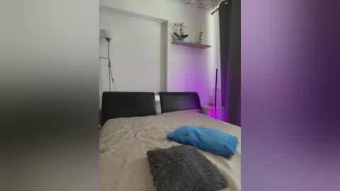 delvie free recording from 2025-05-29 11:09:00