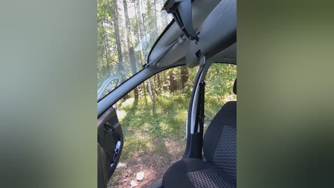 dvabomja free recording from 2025-05-29 11:00:00