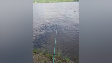 hotpepper_sweetpepper free recording from 2025-05-29 13:48:00