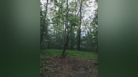 masya1996 free recording from 2025-05-30 16:18:00