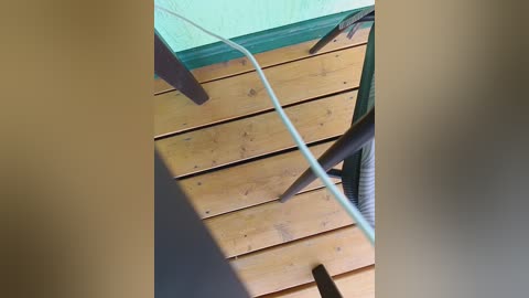 angelia22 free recording from 2025-05-31 03:03:00