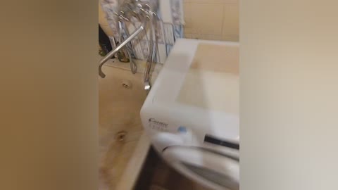 bubblegum84 free recording from 2025-06-01 17:12:00