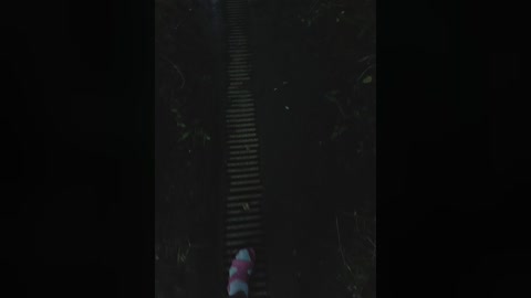 evvgenia12345 free recording from 2025-06-01 00:39:00