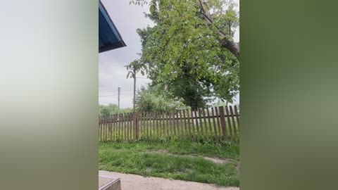 _molly_mae_ free recording from 2025-06-02 08:21:00