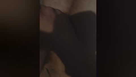 bipara1 free recording from 2025-06-02 01:40:00