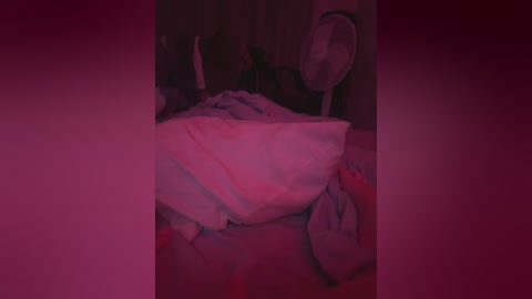 emmalili free recording from 2025-06-02 16:40:00