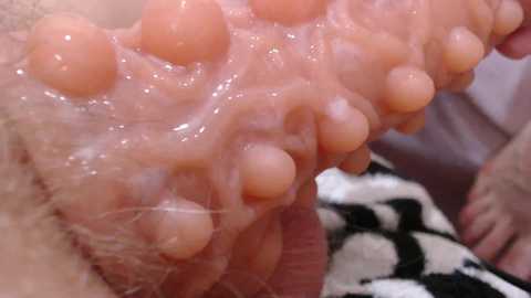 dvabomja free recording from 2025-06-03 17:30:00