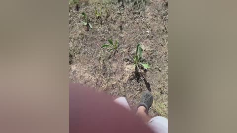 rustycouple free recording from 2025-06-03 08:59:00