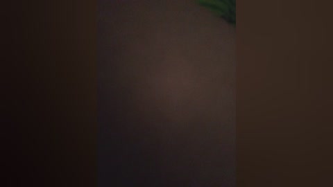 aleksannet free recording from 2025-06-04 23:04:00