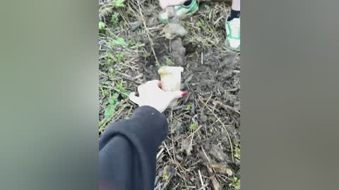 luckystar free recording from 2025-06-04 15:42:00