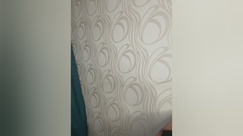 _mint free recording from 2025-06-05 11:20:00