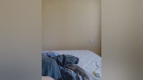 apolon15vulgargirl free recording from 2026-04-14 02:03:00