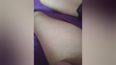 bestydnikia free recording from 2025-06-06 07:18:00