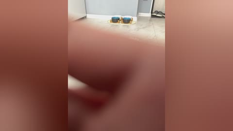 puppy19 free recording from 2025-06-06 04:36:00