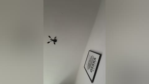 alexmir69 free recording from 