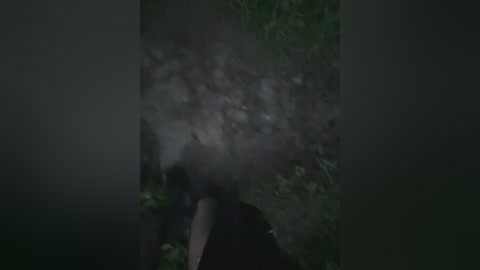 luckystar free recording from 2025-06-07 19:21:00