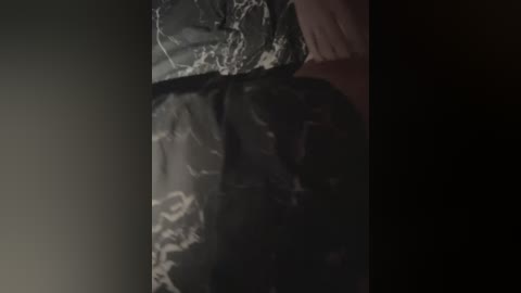 bigbos0948 free recording from 2025-06-09 00:33:00