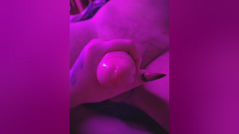 consciencea free recording from 2026-04-14 02:03:00