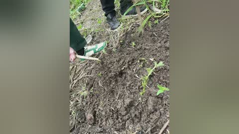 luckystar free recording from 2025-06-09 08:14:00