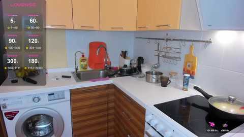 nikkibrooks free recording from 2026-04-23 01:58:00