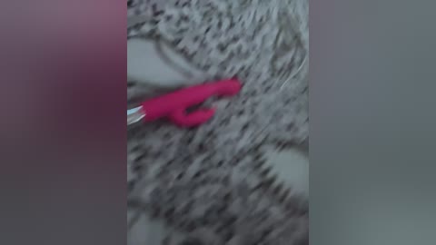 kotandkiska free recording from 2026-04-18 00:44:00