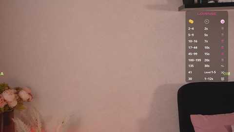 cockisa free recording from 2025-06-13 04:56:00