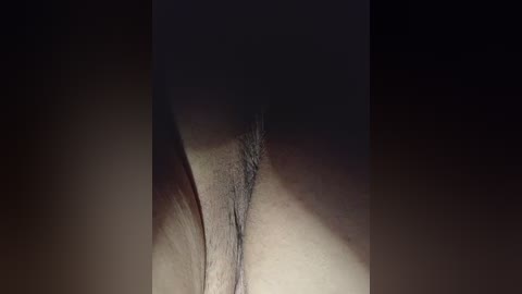 bestydnikia free recording from 2026-04-14 02:03:00