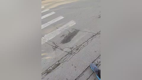 candy_cappy free recording from 