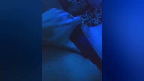 divona free recording from 2025-06-14 02:43:00